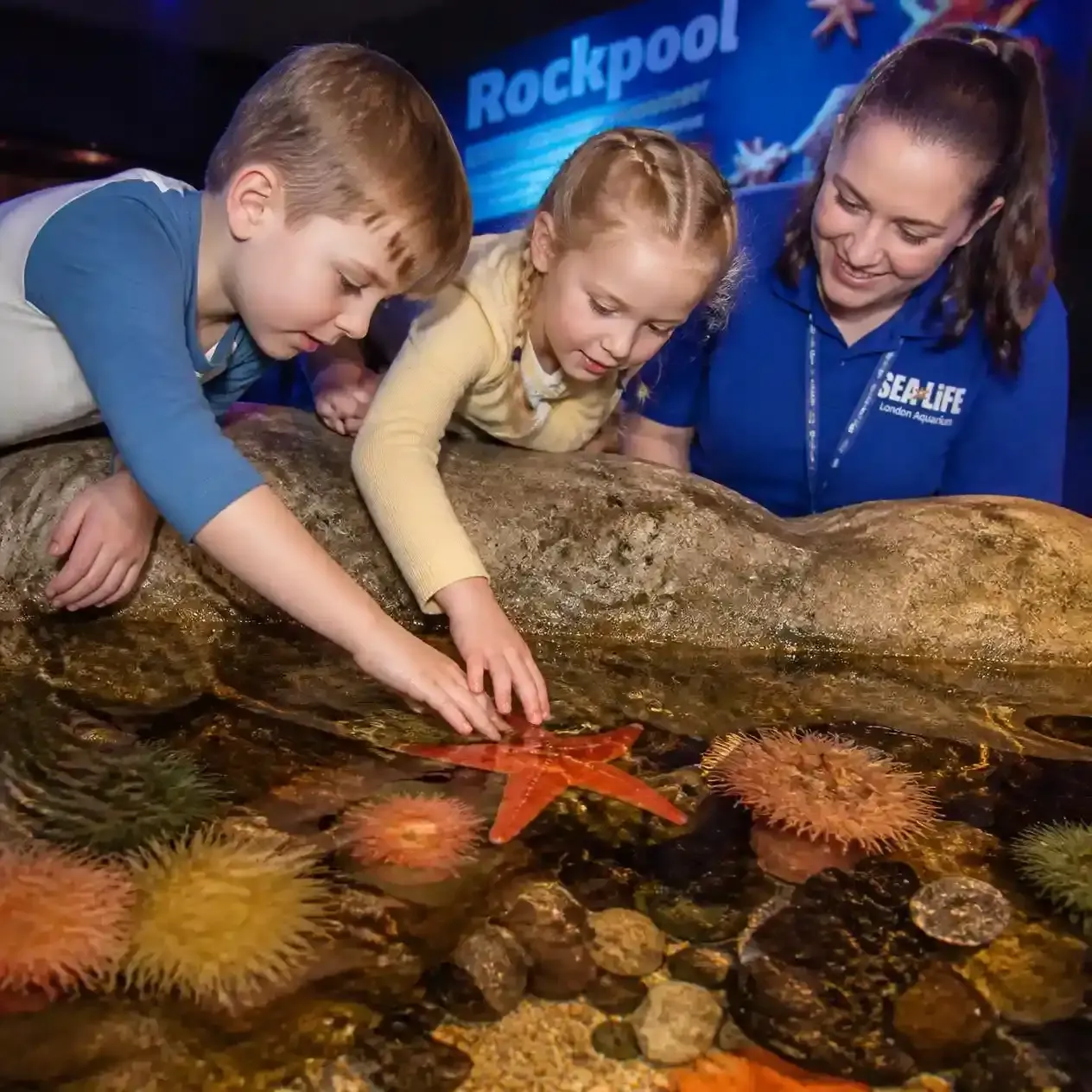 Children touching a starfish in the Rockpool touch pool at SEA LIFE London Aquarium in London