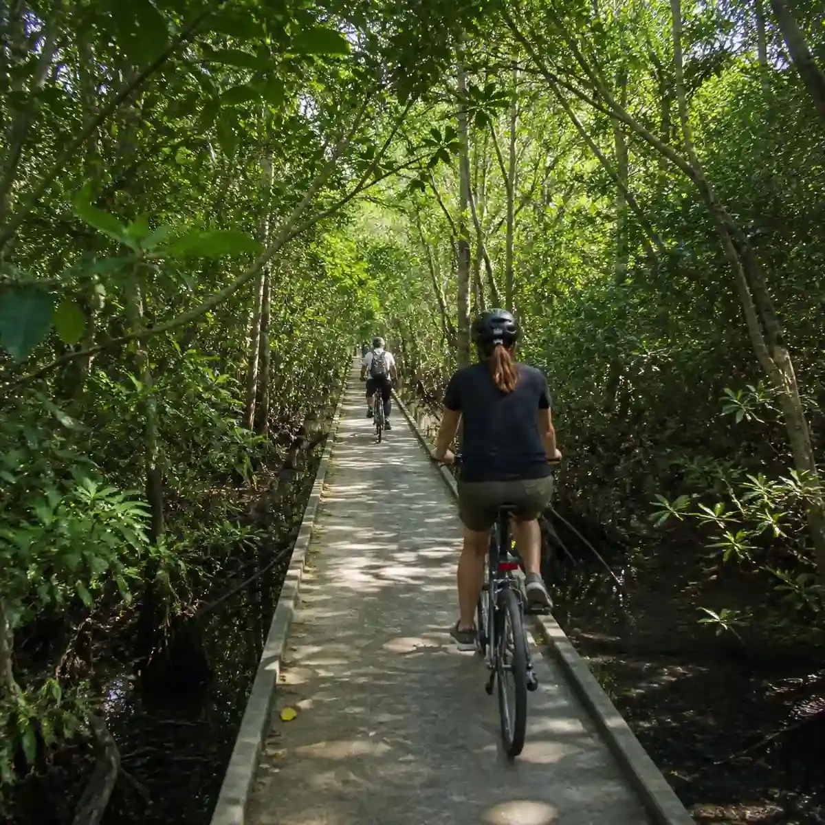 Cyclists on a narrow raised concrete path winding through mangrove trees at Bang Krachao in Bangkok