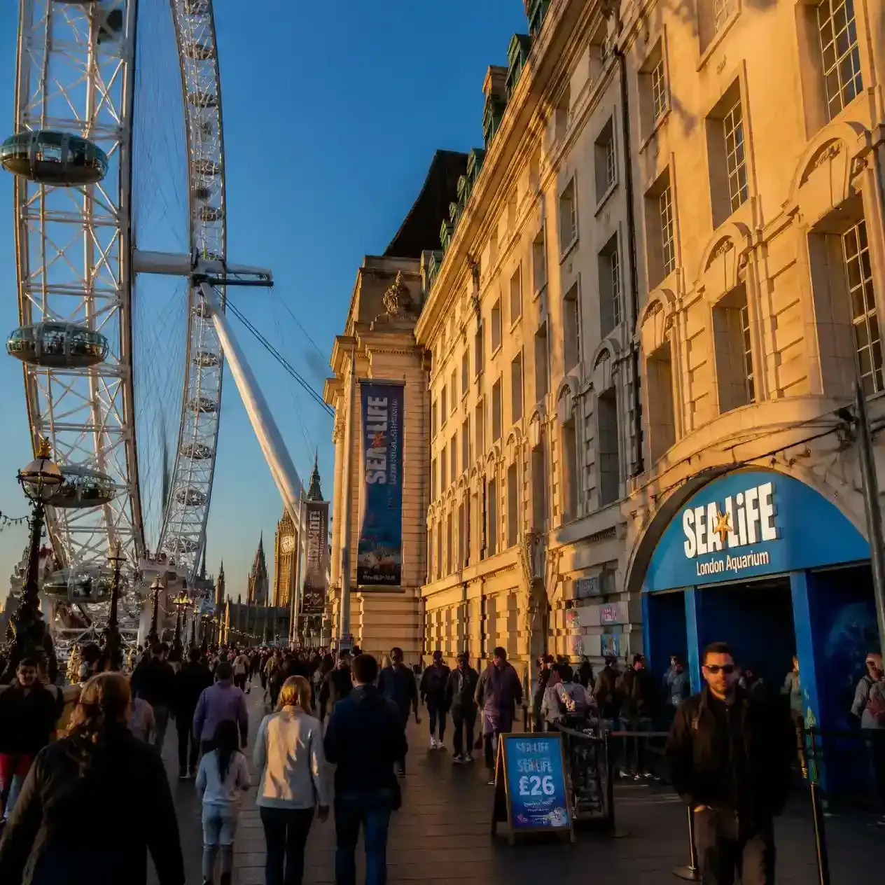 County Hall on the South Bank with the SEA LIFE London Aquarium entrance next to the London Eye in London