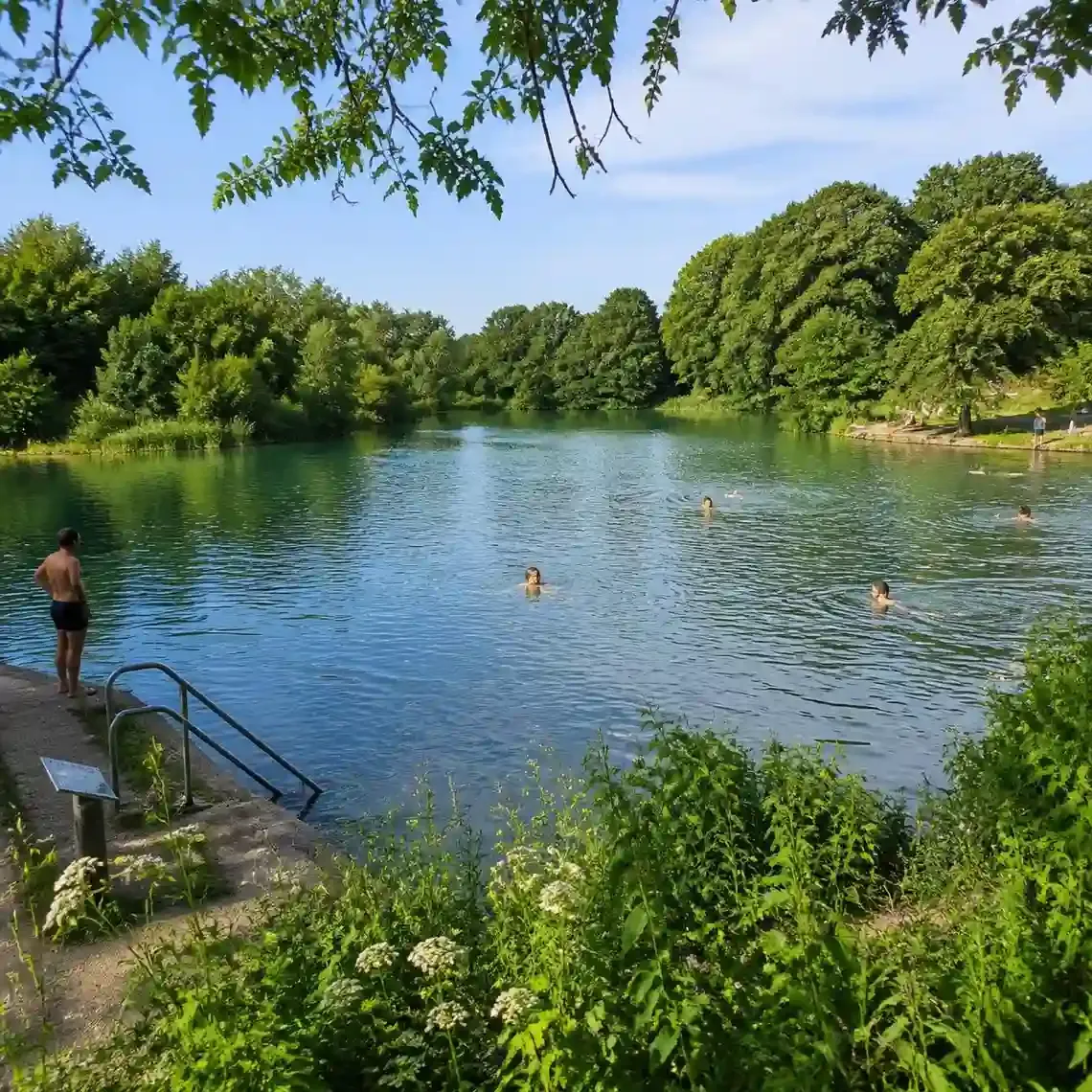 Swimmers in one of the spring-fed wild swimming ponds on Hampstead Heath, surrounded by trees in summer