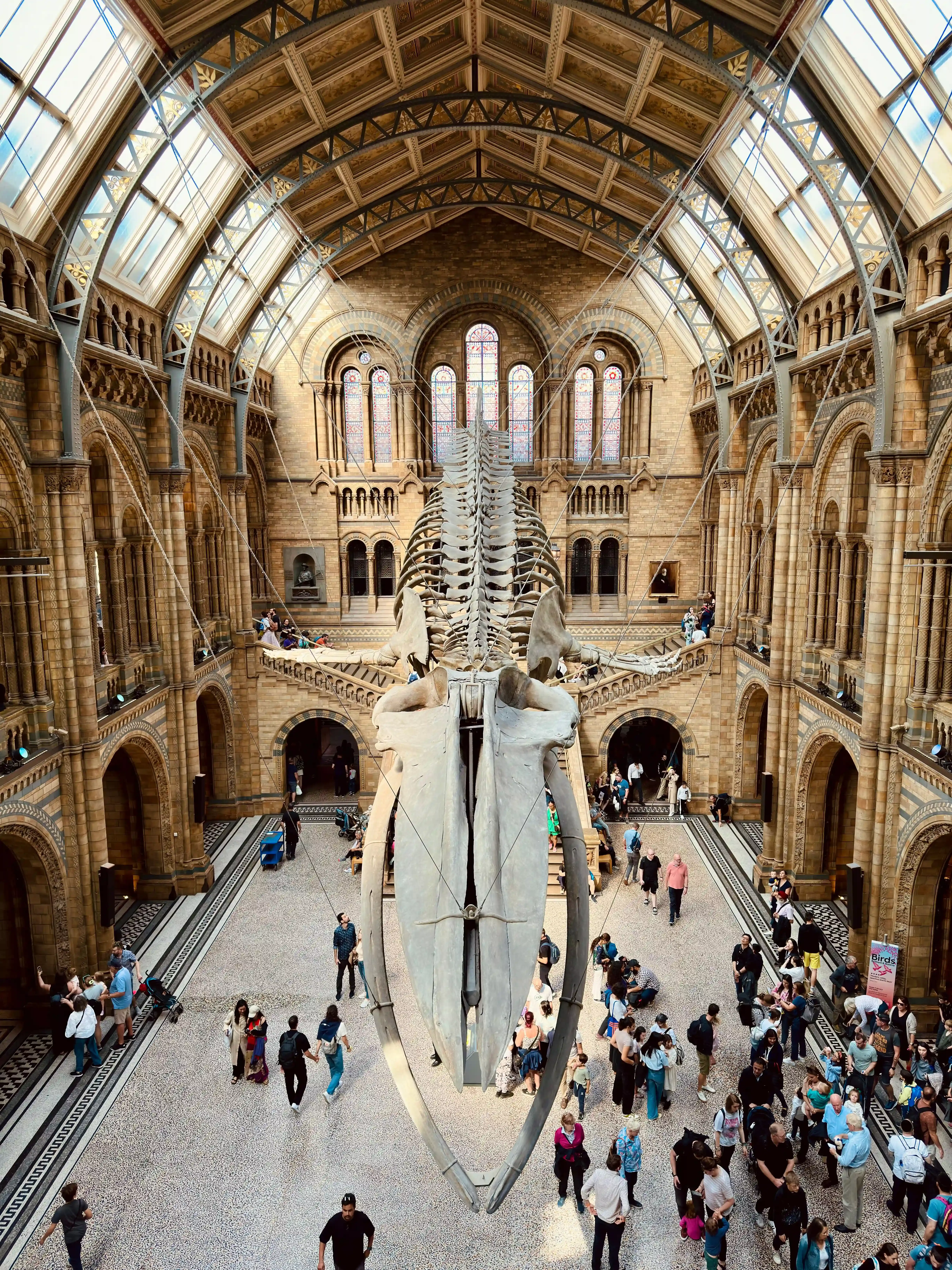 Family standing beneath the suspended blue whale skeleton in Hintze Hall at the Natural History Museum in London