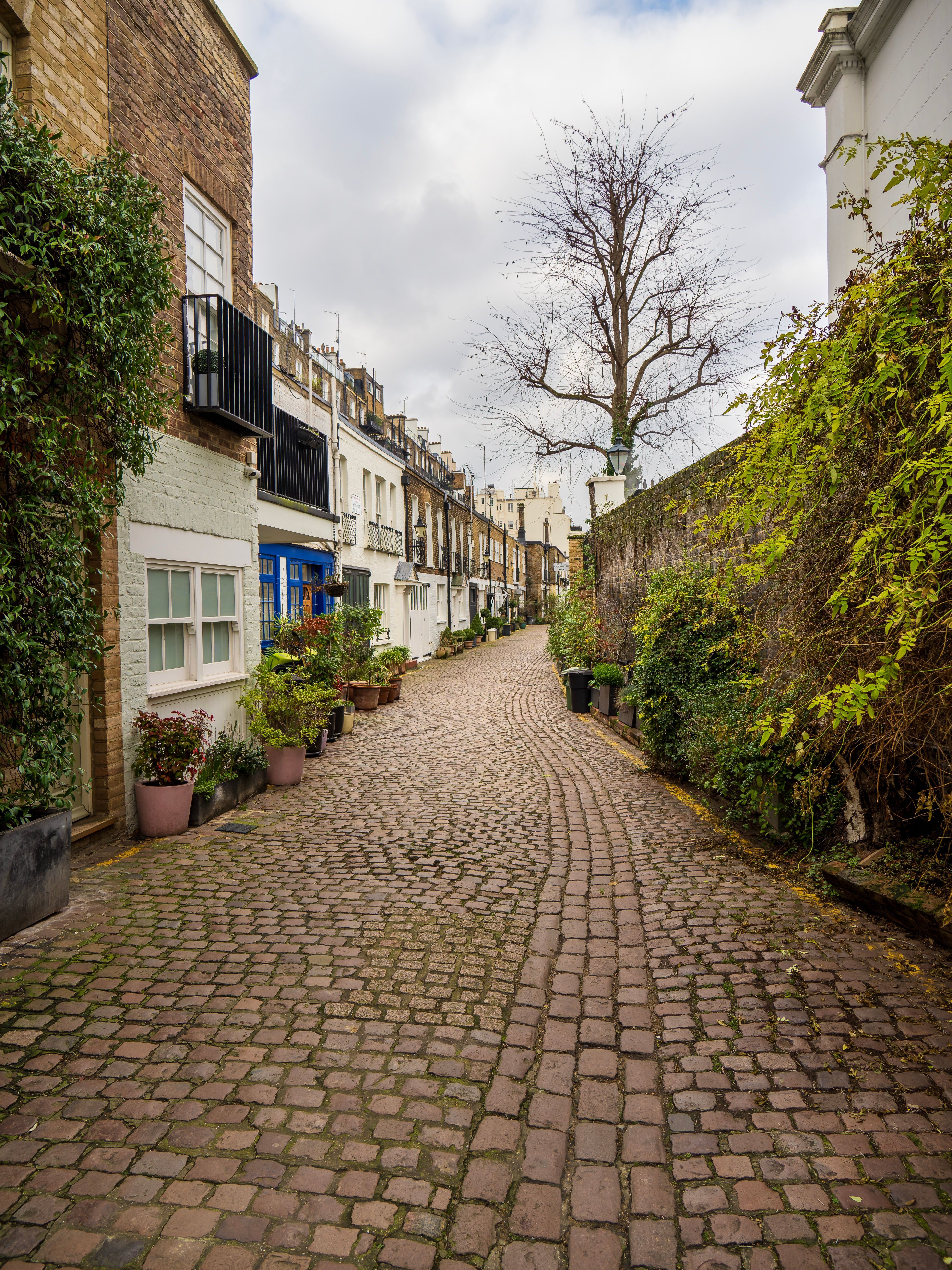 Quiet Georgian terraced street in Dulwich Village, one of the non-touristy areas of London away from the tourist centre