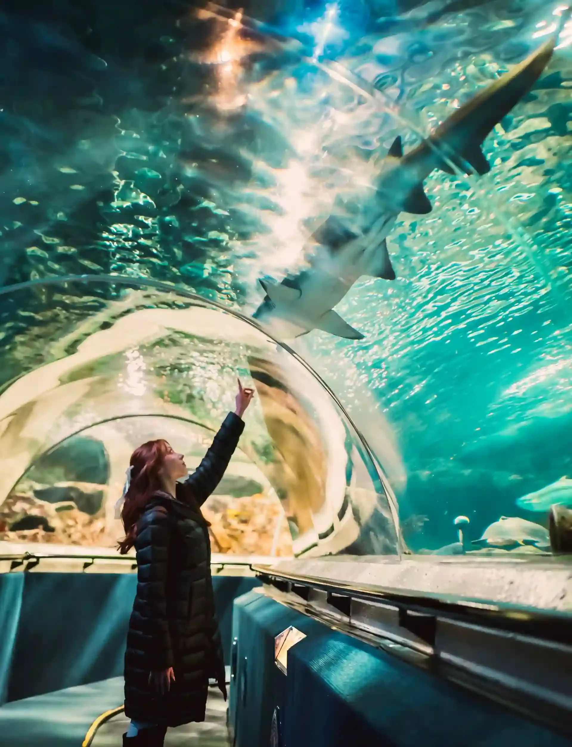 Children looking up at sharks and rays passing through the glass ocean tunnel at SEA LIFE London Aquarium on the South Bank