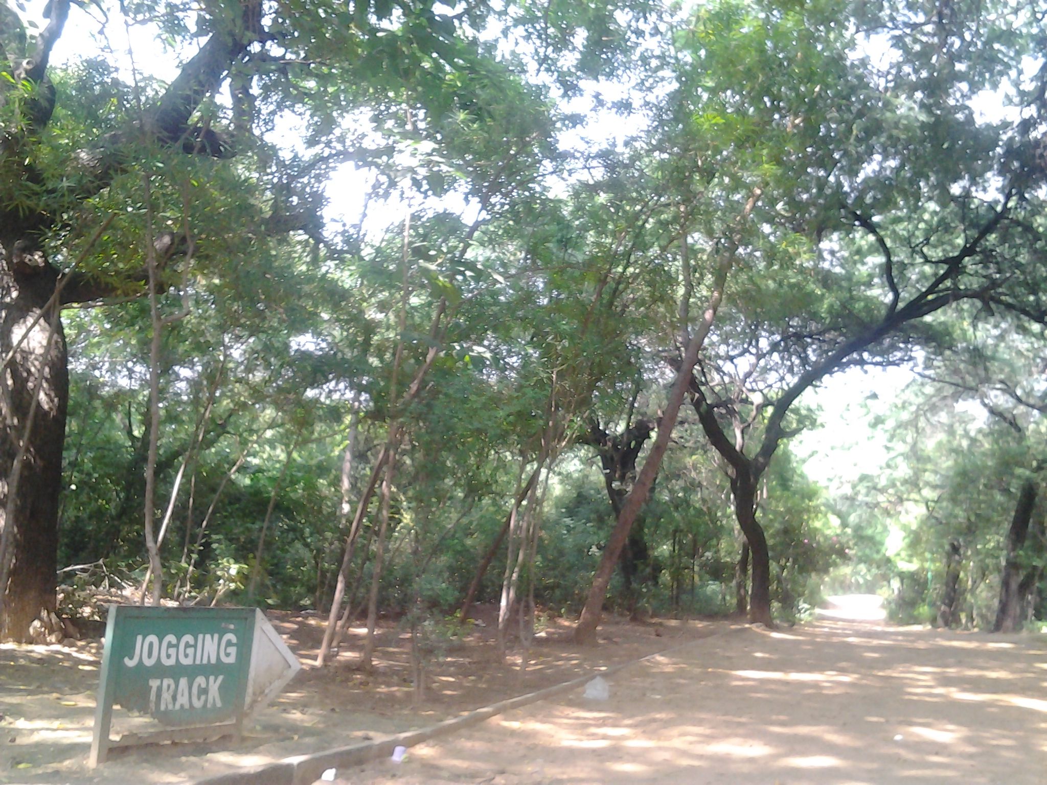 Jahanpanah City Forest